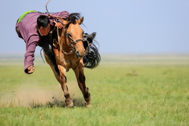 Barbara Barbour Mongolian Horseman