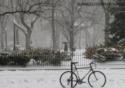 Snow, Rittenhouse